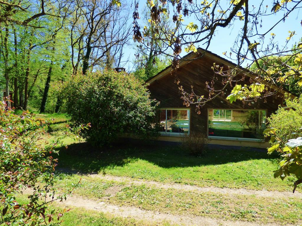 Bed and Breakfast Beau Site Guimauve Et Vieilles Dentelles Royères-Saint-Léonard Exteriér fotografie